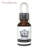 アクセプタンス《DTWフラワーエッセンス》25ml/フォーミュラエッセンス[DTW/カナダ/医師/正規輸入品]