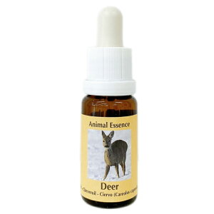 ���s�R���ePHI�G�b�Z���X�t15ml [�R���ePHI�G�b�Z���X/�t�����[�G�b�Z���X]