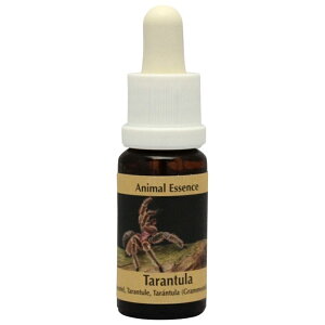 yyVX[p[SALE|Cg5{ő2222~N[|zzz^`sRePHIGbZXt15ml [RePHIGbZX/t[GbZX]