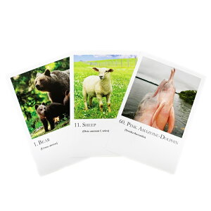 Aj}V[YJ[hsRePHIGbZXtS60 [RePHIGbZX/t[GbZX]