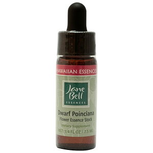 yyVX[p[SALE|Cg5{ő2222~N[|zzz[WF[ExGbZXbt[GbZXbnCAt[GbZXbWF[ExGbZX]WF[E