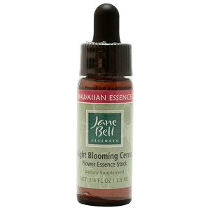 yyVX[p[SALE|Cg5{ő2222~N[|zzz[WF[ExGbZXbt[GbZXbnCAt[GbZXbWF[ExGbZX]WF[E