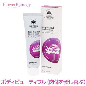 {fB[r[eBtN[sI[XgAubV t[GbZXt50g[I[XgAubV/ubVt[GbZX/ێN[/{fBN[]