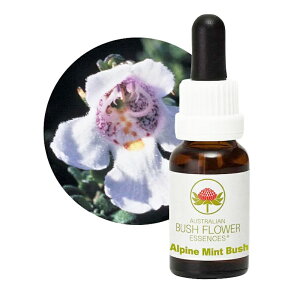 �A���p�C���~���g�u�b�V���s�I�[�X�g�����A���u�b�V�� �t�����[�G�b�Z���X�t15ml�y���[���֑Ώہz[�V���O���G�b�Z���X/�t�����[�G�b�Z���X/�I�[�X�g�����A���u�b�V��/���]