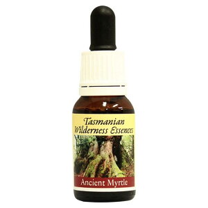 yyVX[p[SALE|Cg5{ő2222~N[|zzzAVFg}[gsq}Et[GnT[Yt15ml[^X}jAEB_lXb̂bt[GbZ