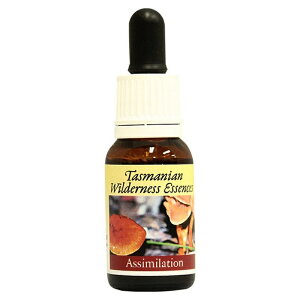 yyVX[p[SALE|Cg5{ő2222~N[|zzzAV~[Vsq}Et[GnT[Yt15ml [^X}jAEB_lXb̂bt[GbZX]