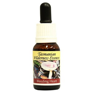 yyVX[p[SALE|Cg5{ő2222~N[|zzzu[fBOn[gsq}Et[GnT[Yt15ml [^X}jAEB_lXb̂bt[GbZ