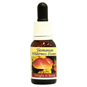 yyVX[p[SALE|Cg5{ő2222~N[|zzzfCgCr[COsq}Et[GnT[Yt15ml[^X}jAEB_lXb̂bt[GbZ