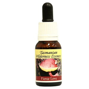 yyVX[p[SALE|Cg5{ő2222~N[|zzztBA[Xusq}Et[GnT[Yt15ml [^X}jAEB_lXb̂bt[GbZX]