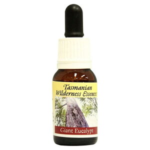 yyVX[p[SALE|Cg5{ő2222~N[|zzzWCAg[Jvgsq}Et[GnT[Yt15ml[^X}jAEB_lXb̂bt[Gb