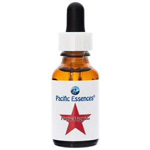 p[v}OmAspVtBbNGbZXt25mly30mlɗeʕύXƂȂ܂z[t[GbZXb`wbJi_bpVtBbNGbZX]