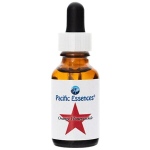 IWnj[TbNspVtBbNGbZXt25mly30mlɗeʕύXƂȂ܂z[t[GbZXb`wbJi_bpVtBbNGbZX]