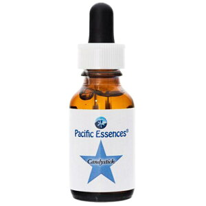 LfBXeBbNspVtBbNGbZXt25mly30mlɗeʕύXƂȂ܂z[t[GbZXb`wbJi_bpVtBbNGbZX]