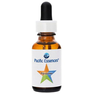 yubNtCf[Iő2222~N[|zzzsvVZspVtBbNGbZXt25mly30mlɗeʕύXƂȂ܂z[t[GbZXb`wbJi_bpVtB