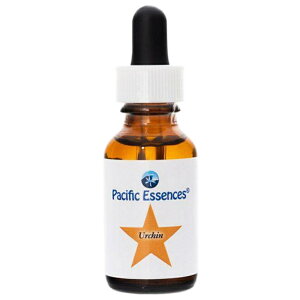 yubNtCf[Iő2222~N[|zzzA[` spVtBbNGbZXt30ml[V[GbZXb`wbJi_bt[GbZX]