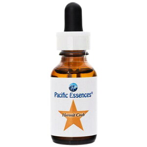 yubNtCf[Iő2222~N[|zzzn[~bgNu spVtBbNGbZXt25mly30mlɗeʕύXƂȂ܂z[V[GbZXb`wbJi_bt