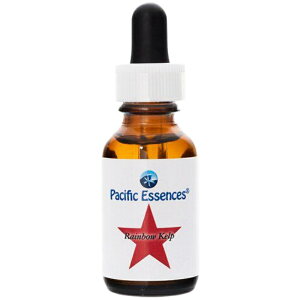 yubNtCf[Iő2222~N[|zzzC{[Pv spVtBbNGbZXt25mly30mlɗeʕύXƂȂ܂z[V[GbZXb`wbJi_bt