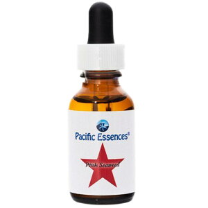 yubNtCf[Iő2222~N[|zzzsNV[EB[h spVtBbNGbZXt30ml [t[GbZXb`wbJi_bpVtBbNGbZX]