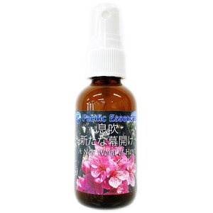 Xv[iVȖJjspVtBbNGbZXt50ml@[t[GbZX/pVtBbNGbZX//A}Xv[/[Xv[]