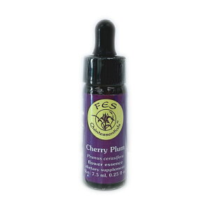 y}\ő 2222 ~N[|zzzi񂹕ij`F[v T[`ob` sFESt[GbZXt 7.5ml [FES/t[GbZX/T[`ob`/č/ob`t