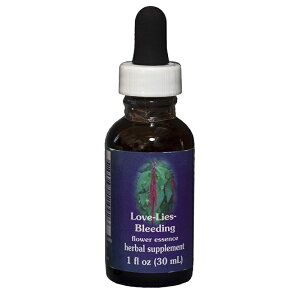 �i���񂹕i�j���u���C�Y�u���[�f�B���O �sFES�t�����[�G�b�Z���X�t 30ml [FES/�t�����[�G�b�Z���X/�N�C���g�t�����[�G�b�Z���X/�V���O���G�b�Z���X/FES�t�����[�G�b�Z���X/�č�/�A�����J/�I