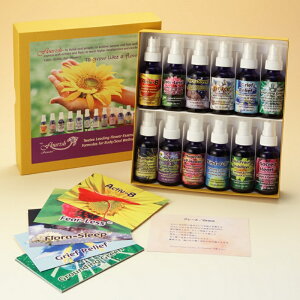 yyVC[OXӍՁIő 2222 ~N[|zzzi񂹕ijt[bVtH[~Xv[tZbgiAt@[VJ[h12jsFESt[GbZXt30ml×12