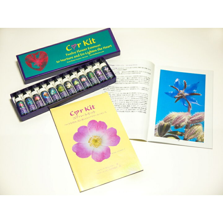 楽天市場】（取り寄せ品）コアハートキット（解説書付）《FES 