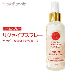 yyVX[p[SALE|Cg5{ő2222~N[|zzz@CuXv[inbs[ȎĂыNjsnCACtHXgi`Yt120ml [t[GbZX