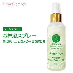 yyVX[p[SALE|Cg5{ő2222~N[|zzzXїXv[iXɐA̖{jsnCACtHXgi`Yt120ml [t[GbZ