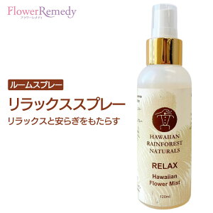 yyVX[p[SALE|Cg5{ő2222~N[|zzzbNXXv[snCACtHXgi`Yt120ml[t[GbZX/nC/|m/A}Xv[]