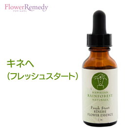 キネヘ（フレッシュスタート）《ハワイアンレインフォレストナチュラルズ》30ml [フラワーエッセンス/ハワイ/ポノ]