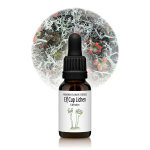 �G���t�J�b�v���C�P���i����j�s�t�B���h�z�[���t�����[�G�b�Z���X�t15ml [�t�B���h�z�[��/�t�����[�G�b�Z���X/���{�������K�i/�t�B���h�z�[���t�����[�G�b�Z���X]