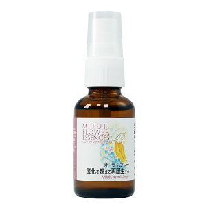 ω𒴂čĒaiI[Xv[js}EgtWt[GbZXt30ml [Yt[GbZX/{/xmR/I[/`N//A}Xv[]