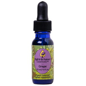 O[vijsXsbgClC`[GbZXt15ml yt[GbZX/qp/ybgp///Lz