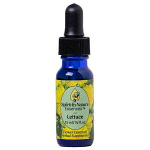 ^XiÁjsXsbgClC`[GbZXt15ml yt[GbZX/qp/ybgp///Lz