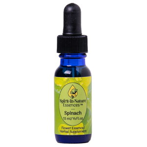 Xsib`izE\EjiVvjsXsbgClC`[GbZXt15ml yt[GbZX/qp/ybgp///Lz