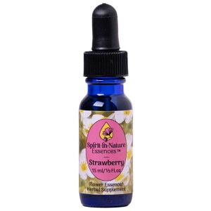 Xgx[iȑdjsXsbgClC`[GbZXt15ml yt[GbZX/qp/ybgp///Lz