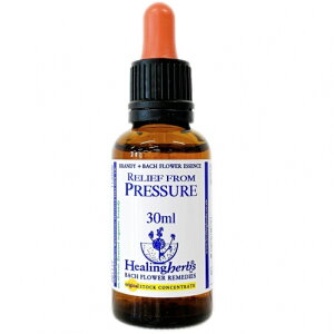 y񂹕iz[tt[vbV[ivbV[̉jsq[On[uXt30ml [ob`t[/t[GbZX]