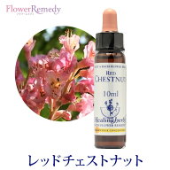 【取寄せ品】レッドチェストナット《ヒーリングハーブス》10ml【※順次新ラベルに変更となります】 [バッ…