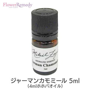 W[}J~[ s~JGEUbgt5ml(4mlzzoIC) y[֑Ώہz[/A}IC/~JGUbg/Mikael Zayat/GbZVIC/I[KjbN/~JGEUb