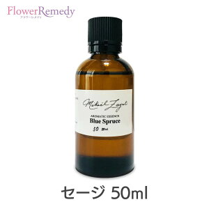 Z[W s~JGEUbgt50ml[/A}IC/~JGUbg/Mikael Zayat/GbZVIC/I[KjbN/~JGEUbg]