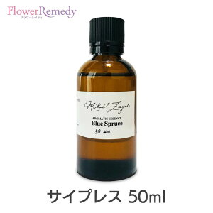 TCvXs~JGEUbgt50ml[/A}IC/~JGUbg/Mikael Zayat/GbZVIC/I[KjbN/~JGEUbg]