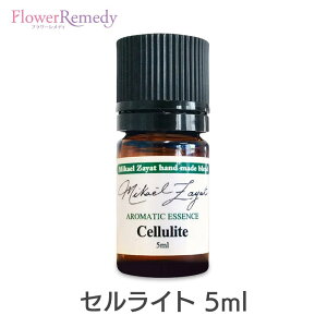 yubNtCf[Iő2222~N[|zzzZCg(~JGnhCh)s~JGEUbgt5ml[/A}IC/~JGUbg/Mikael Zayat/GbZVIC/