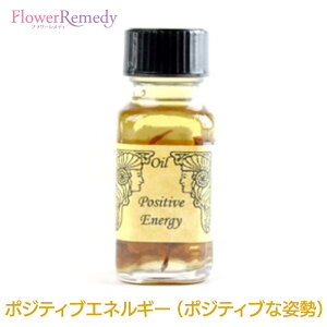 A}IC AVFg[IC |WeBuGlM[i|WeBuȎpj 15mliKAi AVFg[ICjy[֑Ώہz[AVFg[IC/Ancien