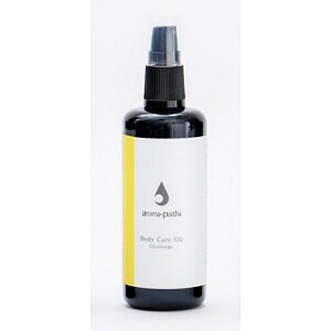 `Wiyj{fBPAICsA}pVB[t80ml [/A}/t[GbZX/zIpV[/{fBIC/Az܍s]