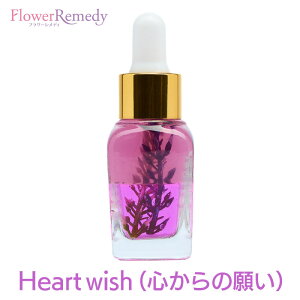 Heart wish(S̊肢) bZ[WIC sCi[`ChbZ[Wt 15ml [A}IC/}WJIC/Ci[`Ch/n[u/A}/qvmZs[//GbZVIC