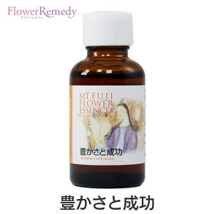 LƐs}EgtWt[GbZXt30ml [Yt[GbZX/{/xmR]