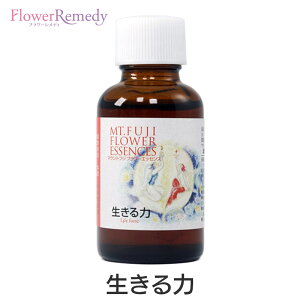 ́s}EgtWt[GbZXt30ml [Yt[GbZX/{/xmR]