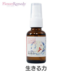 ́iI[Xv[js}EgtWt[GbZXt30ml [Yt[GbZX/{/xmR/I[/`N//A}Xv[]