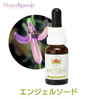 エンジェルソード《オーストラリアンブッシュ フラワーエッセンス》15ml【メール便対象】[シングルエッセ…